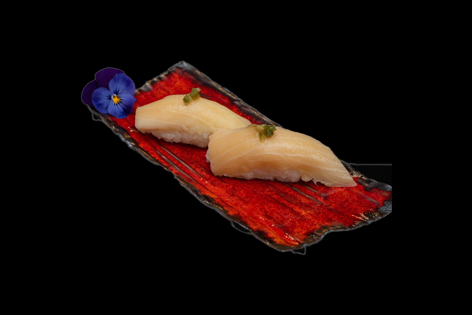 PARROTFISCH NIGIRI